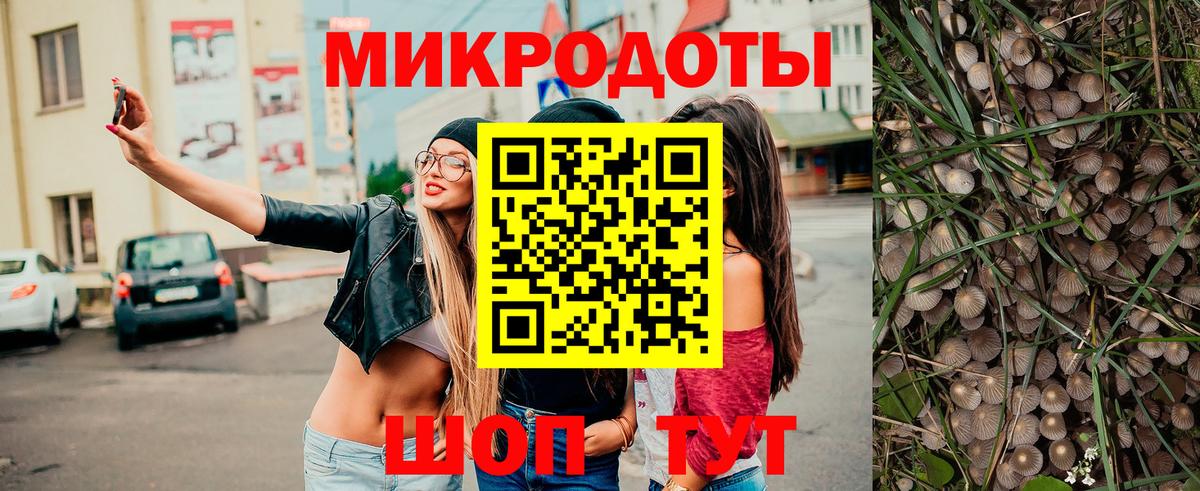 Кингисепп  Псилоцибиновые грибы Psilocybe  Вход с VPN  наркошоп  Псилоцибиновые грибы мицелий 